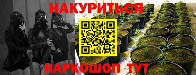 apvp Усть-Илимск