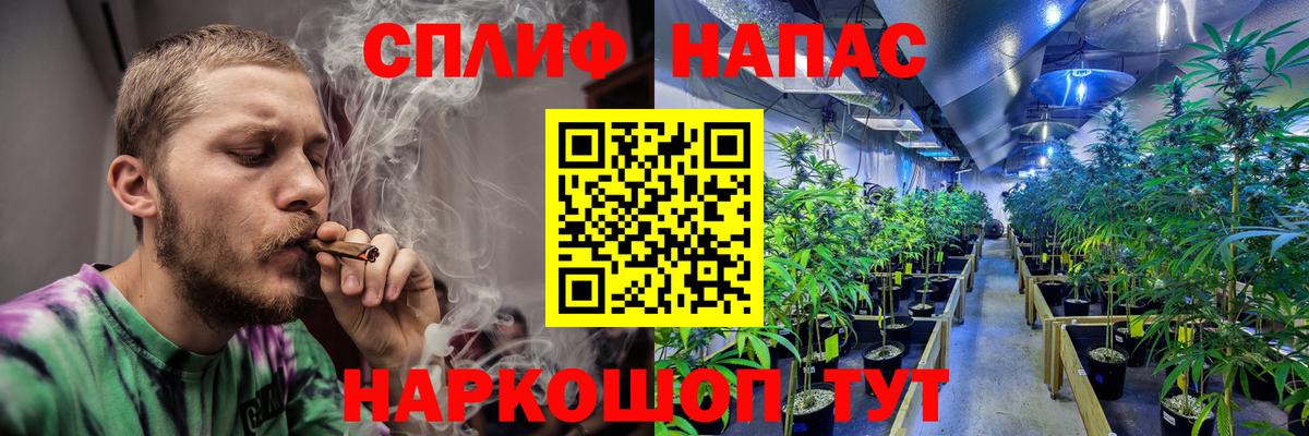 Бошки марихуана Ganja  Бошки марихуана VHQ  Ахтубинск  Вход с VPN 